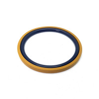 Ущільнення 120х99х8,1 SPGO PTFE